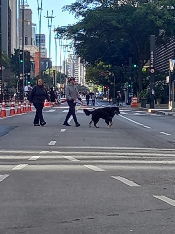 Hostel Trilhas E Rotas - A 150M Da Avenida Paulista Sao Paulo Bagian luar foto